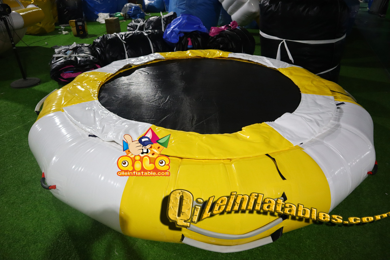 QILE202411503