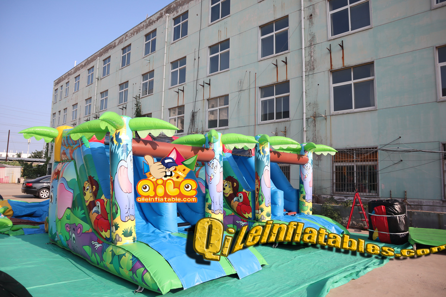 QILE202411712
