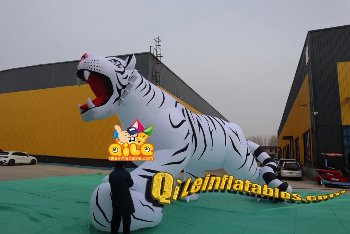 QILE202502905