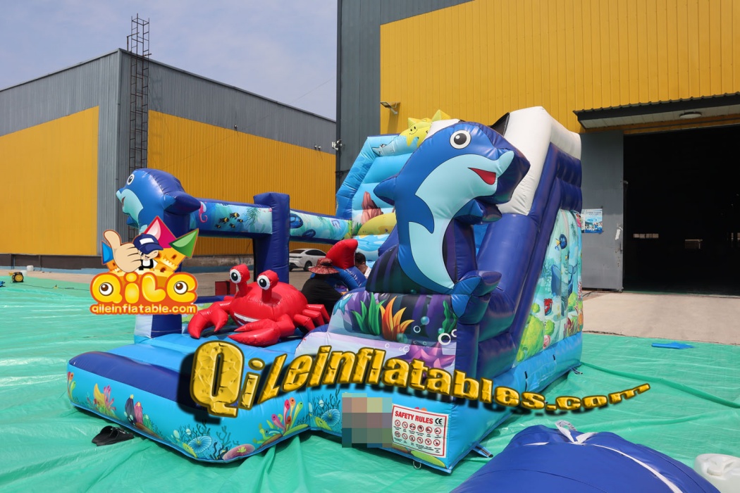 QILE202406015